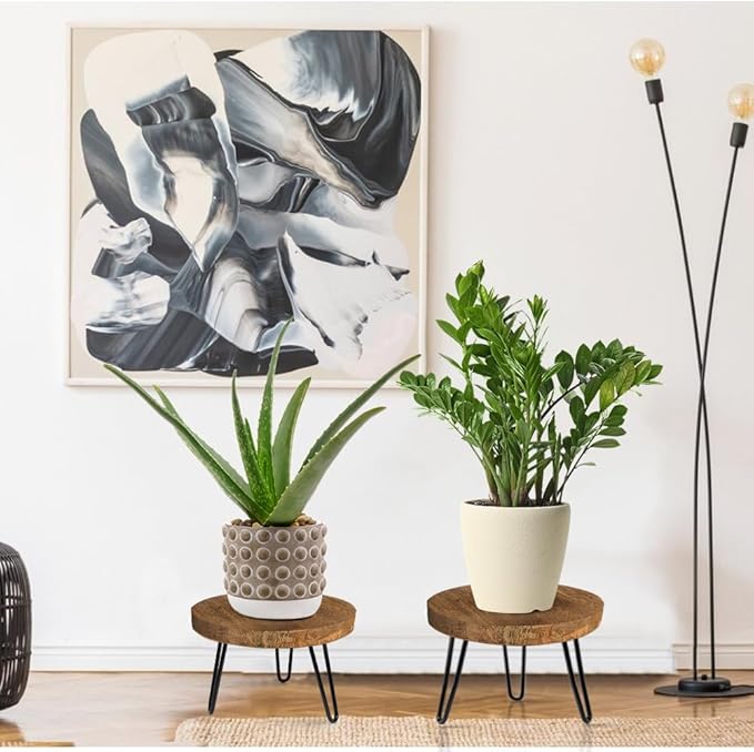 Plant Stand Indoor Outdoor Wood Mid Century Plant Stand for Indoor Plants, Modern Plant Table Round Plant Stool, Boho Rustic Wooden Stool for Plant Pot Hol (L)