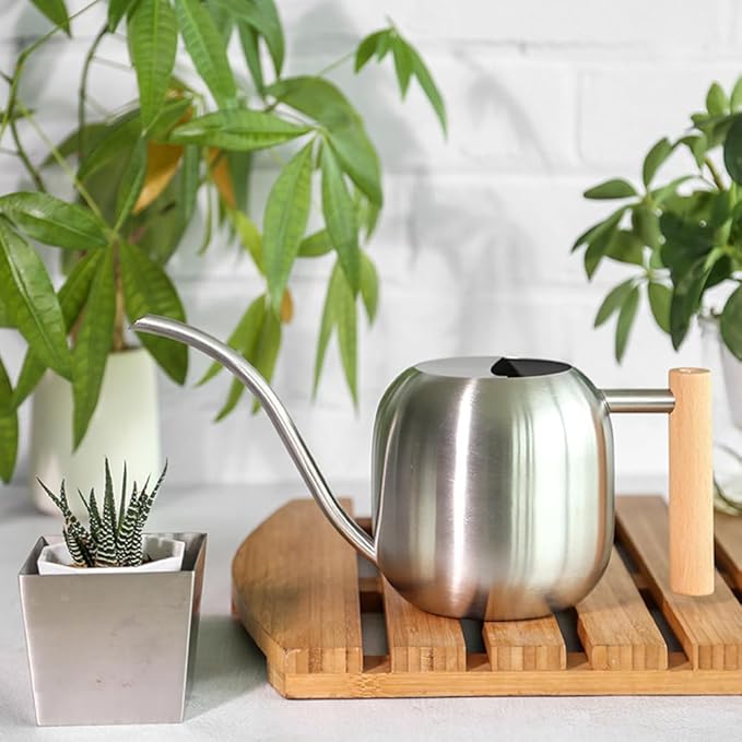 Small Watering Can Indoor Plants, 40oz/1.2L Garden Watering Can, House Plant Watering Can Cute Watering Pot with Long Spout for Indoor House Plants Bonsai Outdoor Garden Flower Decorative