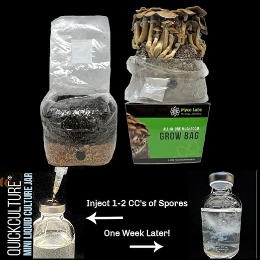 All-in-One Mushroom Grow Bag (4 lbs) for Manure Loving Mushrooms + Spore Germination Jar!