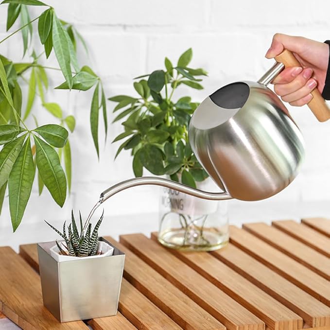 Small Watering Can Indoor Plants, 40oz/1.2L Garden Watering Can, House Plant Watering Can Cute Watering Pot with Long Spout for Indoor House Plants Bonsai Outdoor Garden Flower Decorative