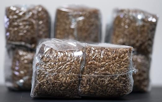 MycoHaus Mushroom Growing Kit with Injection Ports | Sterilized Rye Grain | Magic Indoor Grow Bags for Mushrooms | Home Cultivation Supplies | Without Spores | 1 Pound (6 Pack)