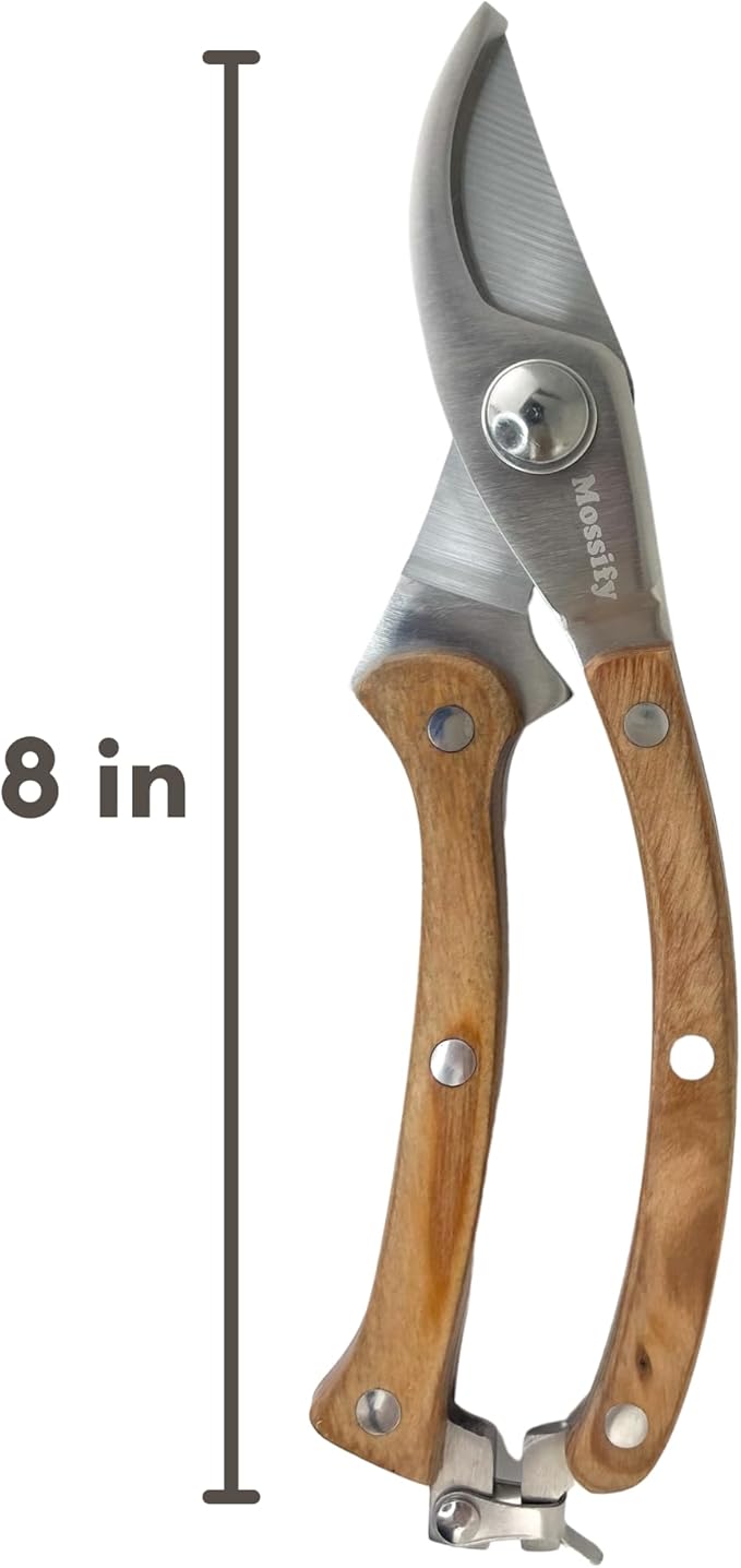 Mossify Garden Shears 8” – Premium Stainless Steel Pruning Shears for Gardening with Wooden Handle – Hand Pruners, Plant Clippers & Garden Scissors – Sharp Garden Tool for Left & Right Hand Use
