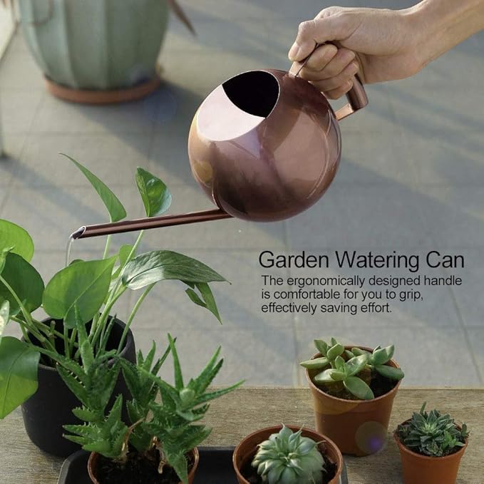 Watering Can, Stainless Steel Long Spout Watering Pot with Ergonomic Handle 1L for Indoor Outdoor Plants Flowers Succulents