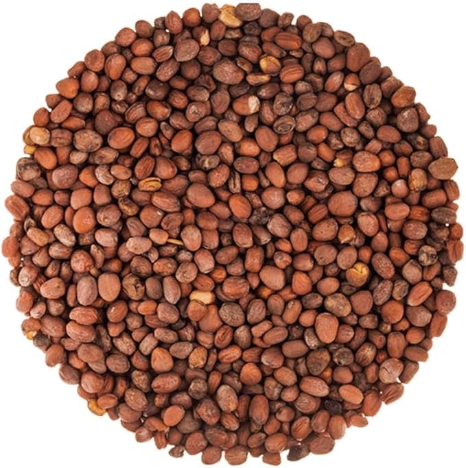 Food to Live Radish Seeds for Sprouting, 10 Pounds - Edible Seeds, Pure, Vegan, Kosher, Bulk. Rich in Vitamin C. High Germitation Rate. Grow Sprouts, and Microgreens for Salad, Sandwiches, Rolls.