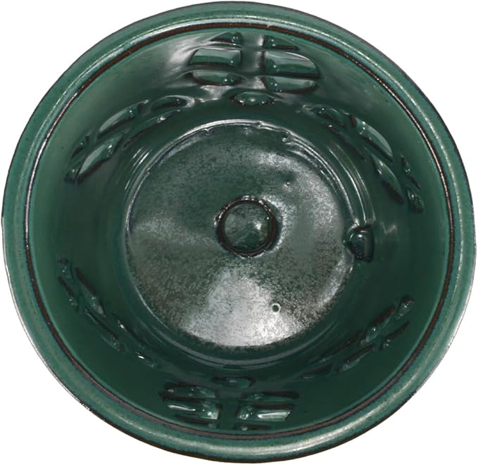 W&W Orchid Pot with Holes and Saucer for Repotting, 5.5 Inches, Grenn