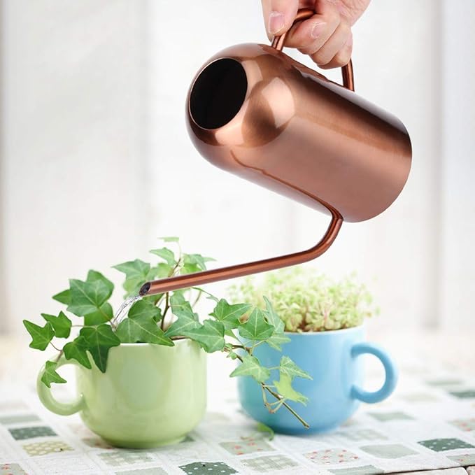 Stainless Steel Watering Can, 1.5L/53oz Small Watering Can Indoor Plants with Long Spout Outdoor Watering Can Pot Modern Style Plant Watering Can for Garden Flower Decorative