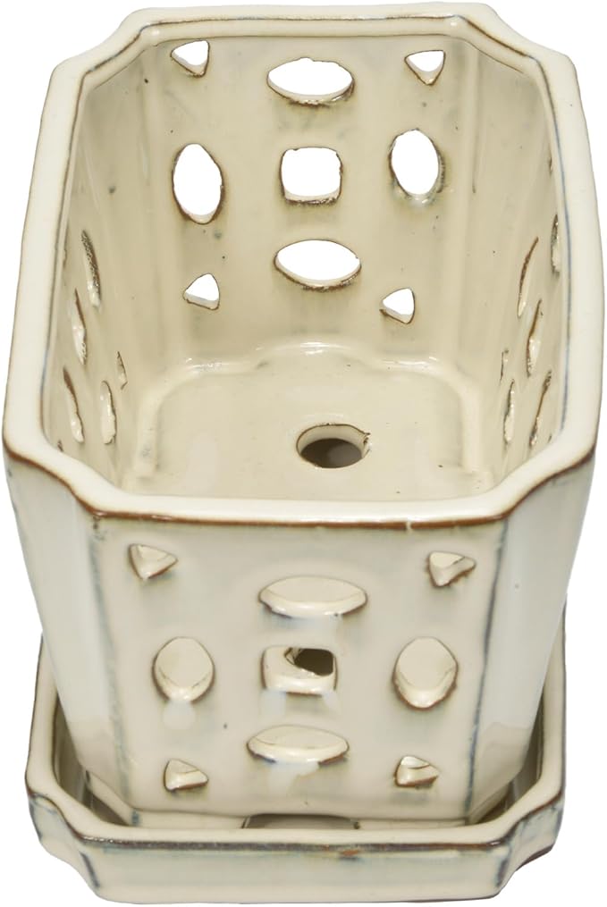 W&W Orchid Pot with Holes and Saucer for Repotting and Better Grow, Cream White, 9.7 Inches