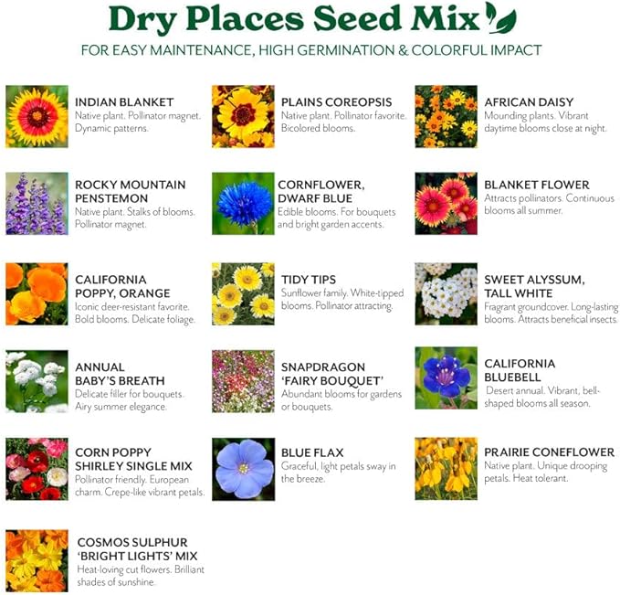 Grow Your Own Vibrant Annual and Perennial Wildflower Garden Mixture, Varieties for Pollinators and Spring Gardens - Dry Places Mix, 50 lbs