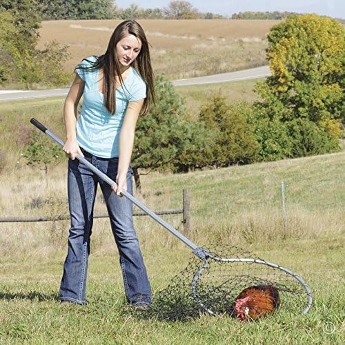 Premier EZ Catch Net (37"- 57" Handle with 23" Net Opening & Teardrop Mesh)