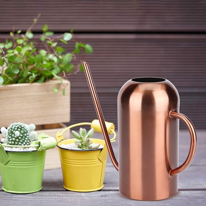 Stainless Steel Watering Can, 1.5L/53oz Small Watering Can Indoor Plants with Long Spout Outdoor Watering Can Pot Modern Style Plant Watering Can for Garden Flower Decorative