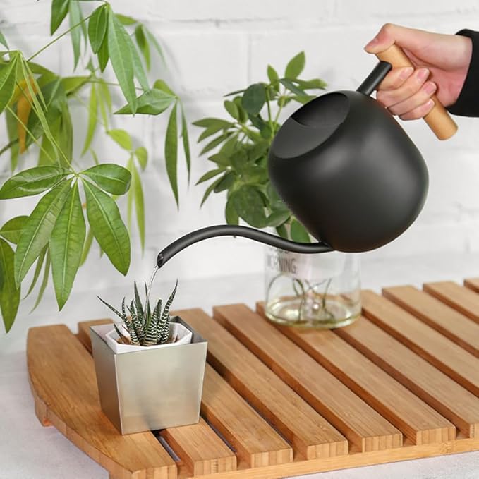 Small Watering Can Indoor Plants, 40oz/1.2L Garden Watering Can, House Plant Watering Can Cute Watering Pot with Long Spout for Indoor House Plants Bonsai Outdoor Garden Flower Decorative
