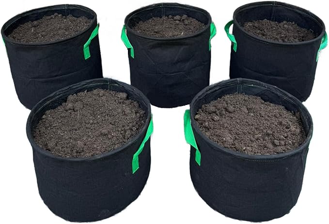 Seeding Square Fabric Grow Bags (5 Gallon) – Durable, Reusable Air-Pruning Plant Pots for Vegetables, Fruits & Herbs – Eco-Friendly Breathable Planter Bags for Healthy Roots & Bigger Harvests