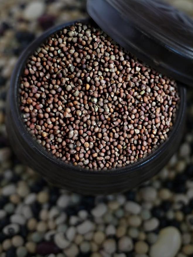 McCabe Organic Raw Perilla Seeds - USDA and CCOF Certified Organic | Packed in USA | 1.5 Lbs