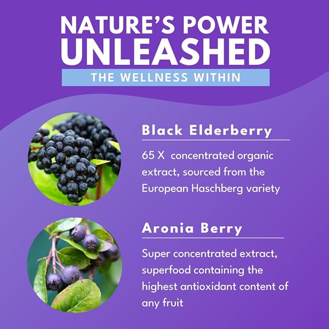 Bold Botanica Elderberry Elixir – 65x Concentrated Extract - Sugar-Free - Kid Friendly - Black Elderberry Syrup with Aronia Berry for Immune Support - 4 Fl. Oz.