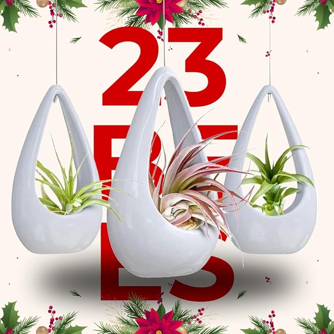 23 Bees, Hanging Air Plant Holder, White Hanger Ceramic Planter, Small Floating Succulent Pots Container, Cactus Holders with Metal Wire, 3 Pack