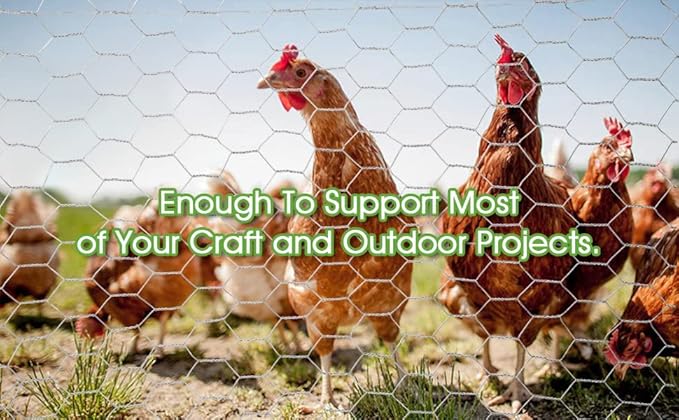 20-Gauge Galvanized Hexagonal Poultry Netting Chicken Wire Rolled Fencing with Mesh Size 1-in (3 ft. x 150 ft.)