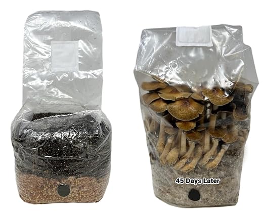 All-in-One Mushroom Grow Bag (4 lbs) for Manure Loving Mushrooms + Spore Germination Jar!