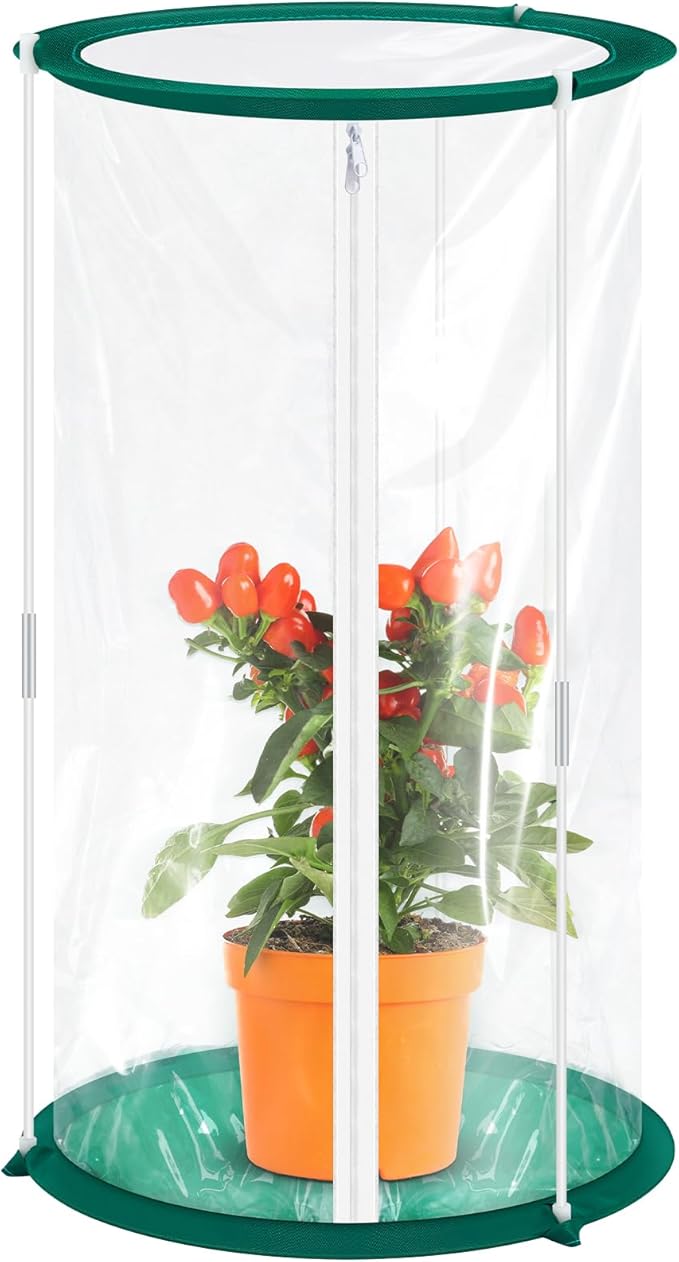 Nuanchu 1 Piece Mini Greenhouse 19.7 x 10.2 Inch Portable Plant Flowers Mini Cover PVC Clear Greenhouse for Indoor Outdoor Gardening