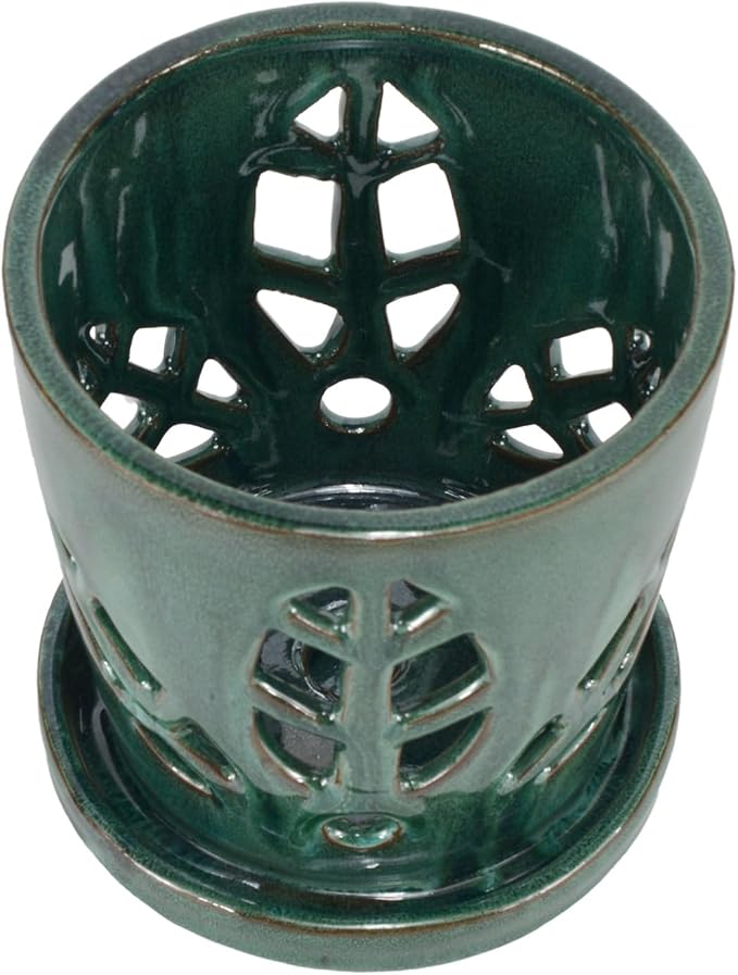 W&W Orchid Pot with Holes and Saucer for Repotting, 5.5 Inches, Grenn Mix