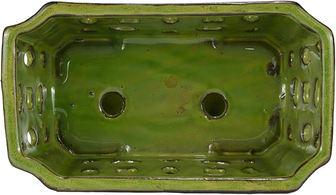 W&W Orchid Pot with Holes and Saucer for Repotting, YellowGreen, 9.7 Inches