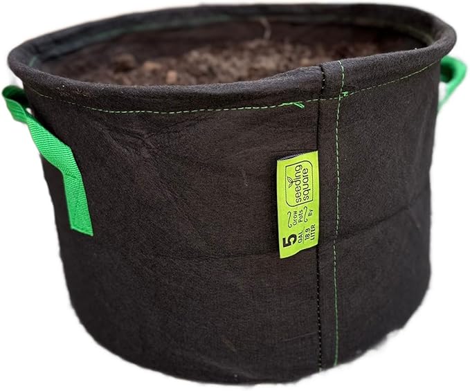 Seeding Square Fabric Grow Bags (5 Gallon) – Durable, Reusable Air-Pruning Plant Pots for Vegetables, Fruits & Herbs – Eco-Friendly Breathable Planter Bags for Healthy Roots & Bigger Harvests