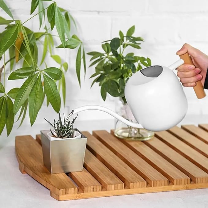 Small Watering Can Indoor Plants, 40oz/1.2L Garden Watering Can, House Plant Watering Can Cute Watering Pot with Long Spout for Indoor House Plants Bonsai Outdoor Garden Flower Decorative