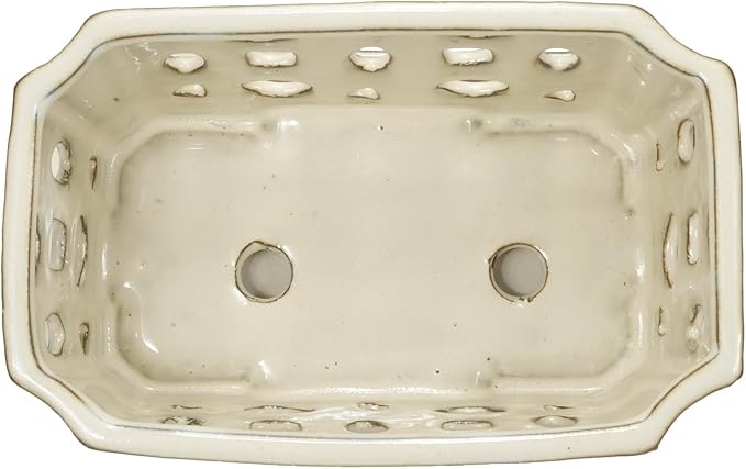 W&W Orchid Pot with Holes and Saucer for Repotting and Better Grow, Cream White, 9.7 Inches