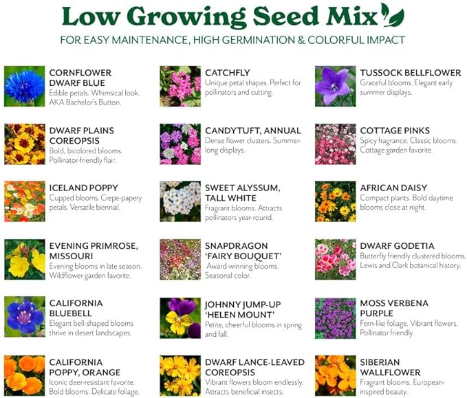 Grow Your Own Vibrant Annual and Perennial Wildflower Garden Seeds Mixture, Varieties for Pollinators and Spring Gardens - Low Growing Mix, 1/4 lb