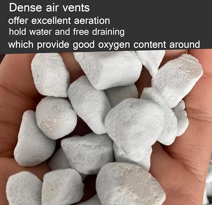50QT Organic Perlite Horticultural Soil Amendment for Plants and Enhanced Drainage Enhanced