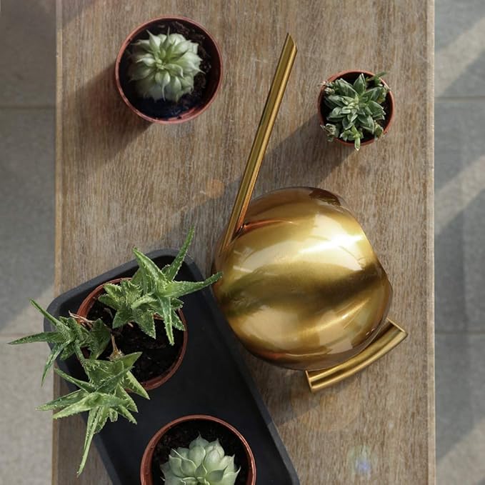 Watering Can, Stainless Steel Watering Can Sprinkle Pot Long Mouth Garden Flowers Plants Watering Pot for Indoor and Outdoor Flower Pot Gardening, 1000ml(Gold)