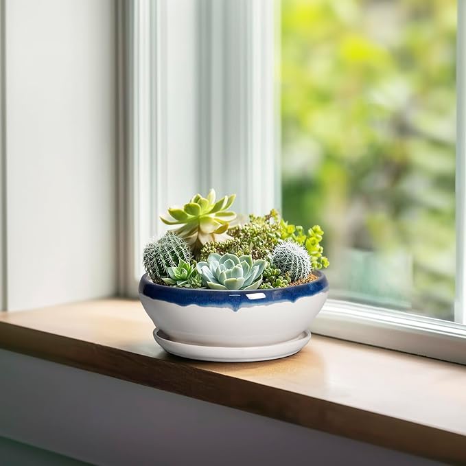 SQOWL Succulent Planters 6 Inch - Ceramic Bonsai Pots with Drainage Hole and Saucer, Round Shallow Planter for Indoor Outdoor Plants, Ceramic Cactus Pot, Apartment Decor, Gifts for Women, Blue-Beige