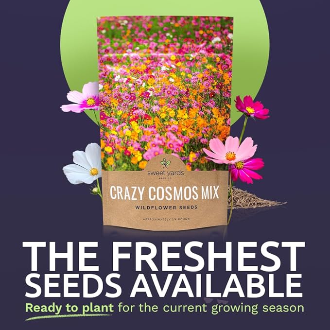 Sweet Yards Cosmos Seeds Wildflower Mixture - Bulk Quarter Pound Bag Over 20,000 Seeds - Pink, Yellow, Orange, Red, Purple and White Mixed Species - 7 Varieties Premium Quality for Planting Outdoors