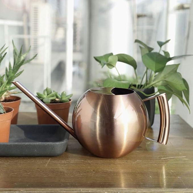 Watering Can, Stainless Steel Long Spout Watering Pot with Ergonomic Handle 1L for Indoor Outdoor Plants Flowers Succulents