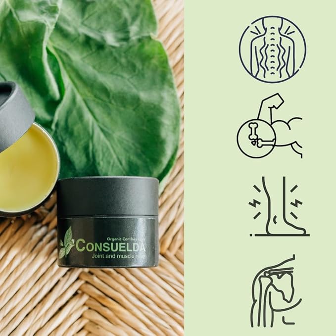 Comfrey Salve, Hand Crafted, Organic, 2oz, Concentrated Balm for Muscles, Joints and Skin, Made in The USA.