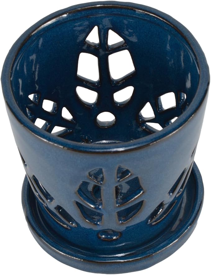 W&W Orchid Pot with Holes and Saucer for Repotting, 5.5 Inches, Blue