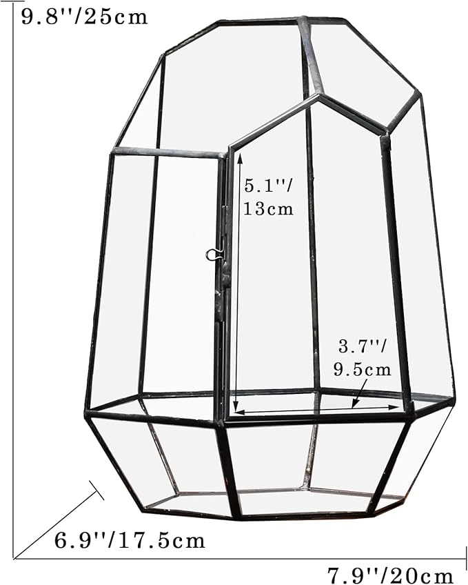 NCYP Close Geometric Glass Terrarium with Door - 9.8 inches Tall Irregular Planter for Succulents, Small Cacti, Modern Home Garden Tabletop Decor, Black, Handmade (Plants NOT Included)