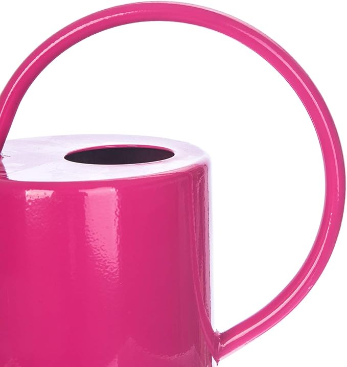 Metal Watering Can 51 Ounce Modern Style Watering Pot with Handle and Long Spout, Rose