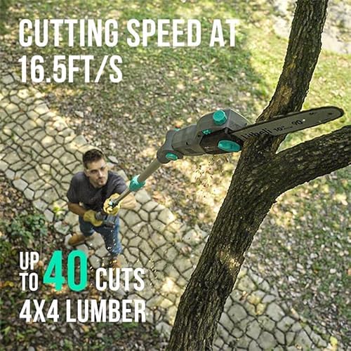 Litheli 40V PoleSaw Cordless, 10 Inch Battery Pole Saws for Tree Trimming, Electric Pole Chainsaw with 2.5Ah Battery & Charger, Oiling System, 8.3 LB Lightweight, 16 FT/S Cutting Speed Power Pole Saw