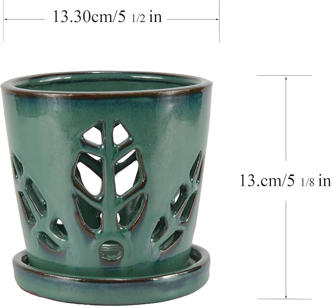 W&W Orchid Pot with Holes and Saucer for Repotting, 5.5 Inches, Grenn