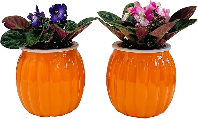 Meicynhoger 4-Pack Pumpkin Self-Watering Planter for African Violets,Snake Plant,Succulents - 4.3" Flower/Plant Pot for Indoor Outdoor,Table, Balcony,Deck,Garden Orange