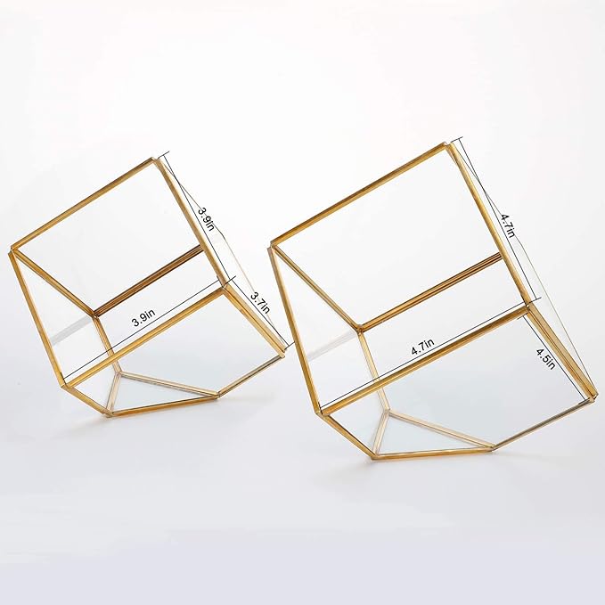 ELEGANTLIFE Glass Geometric Plant Terrarium,Succulent & Air Planter for Home Garden Office Decoration(Gold Cubic Set of 2)