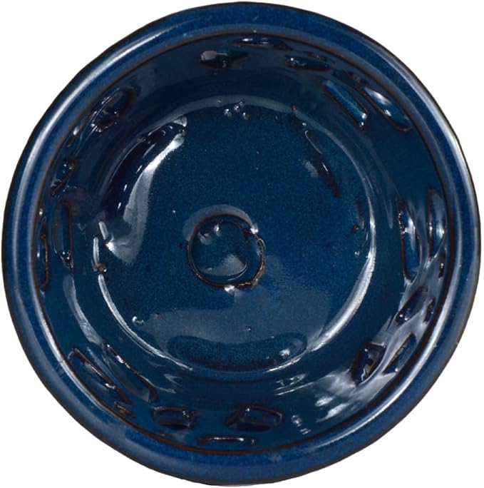W&W Orchid Pot with Holes and Saucer for Repotting, 5 Inches, Blue