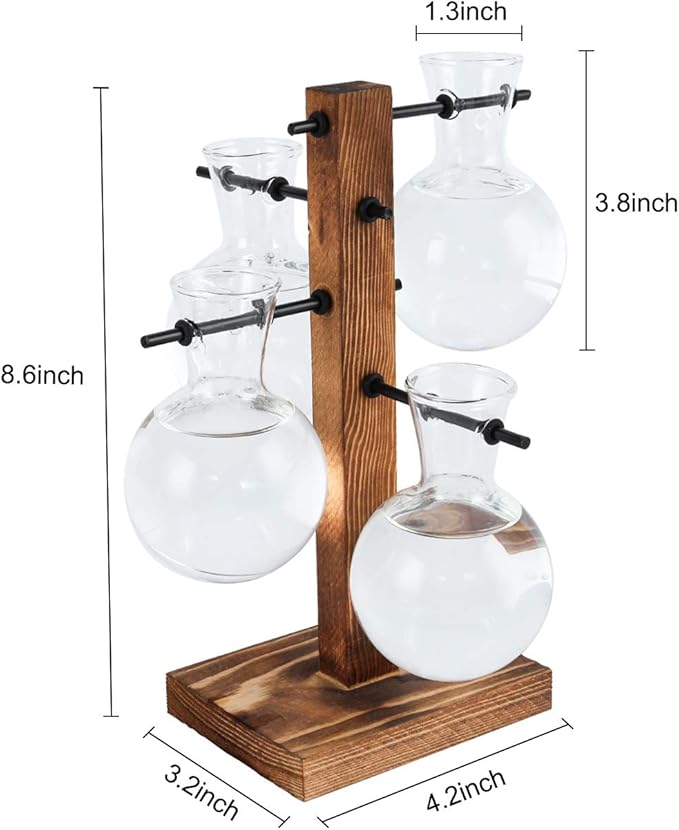PAG Planter Terrariums Kit Desktop Hydroponics Air Plant Holder with 4 Bulb Beaker Glass Vase and Solid Wood Stand, Home Office Decoration Gardening Gift for Women