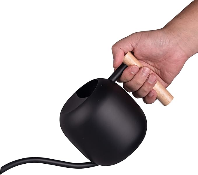 IMEEA Watering Can for Indoor Plants 40oz Stainless Steel Watering Can with Long Spout and Wooden Handle (Black)
