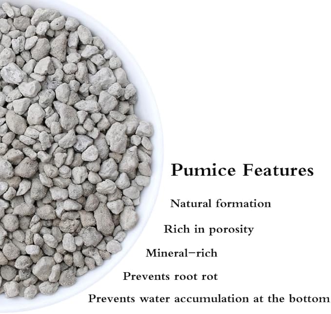 Garden Pumice Rock Horticultural Cactus Bonsai Succulent Soil Additive for Plants, Landscaping, Vase Fillers (1/4 inch, 20 QT)
