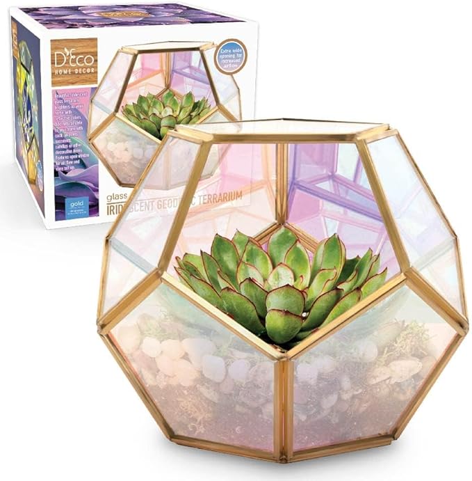 D'Eco Iridescent Glass Centerpiece (7x7x6) - Tabletop Planter Terrarium for Home & Wedding Decor - Fill with Succulents, Moss, Holiday Decorations, Mini Trees & Ornaments - Xmas Gift for Plant Lovers