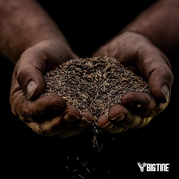 Big Tine Food Plot Mix, Deer Attractant, Buck Brunch, No-Till Food Plot Mix, 4 lbs Bag, Great for Remote Plots, Fast Growing, Shade Tolerant