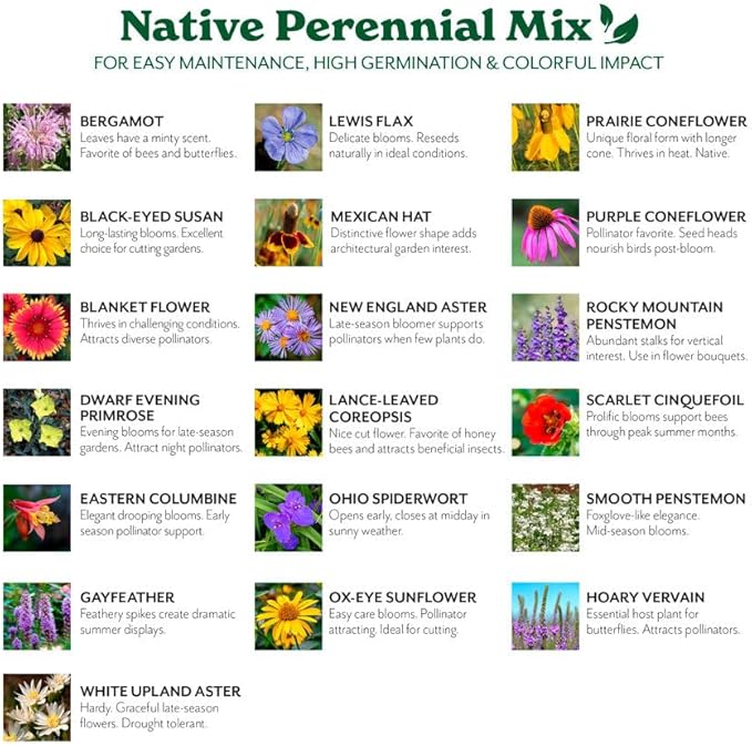 Grow Your Own Vibrant Perennial Wildflower Garden Seeds Mixture, Varieties for Pollinators and Spring Gardens - Native Perennial Mix, 25 lbs
