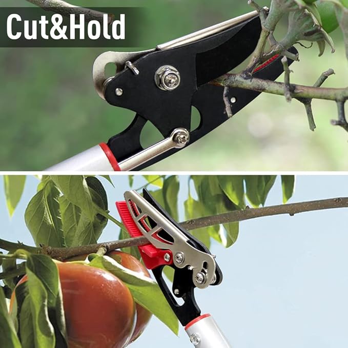 Cut and Hold Pruner Set, Lightweight 32-Inch Long Reach Pruner One-Handed Operation, Hold Long Reach Cut Rotating, 8.3" Hand Pruner for Branch Pruning, Fruit Picking, Prickly Plants & Roses