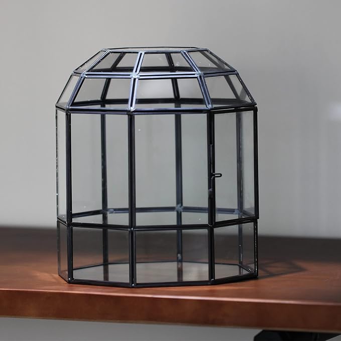 NCYP Geometric Glass Terrarium Dome for Succulent Cacti Air Plants, 6.6x6.6x8 Inches Closed Birdcage Planter Pot, Indoor Miniature Fairy Garden Display Container, Black, Handmade (Only Terrarium)